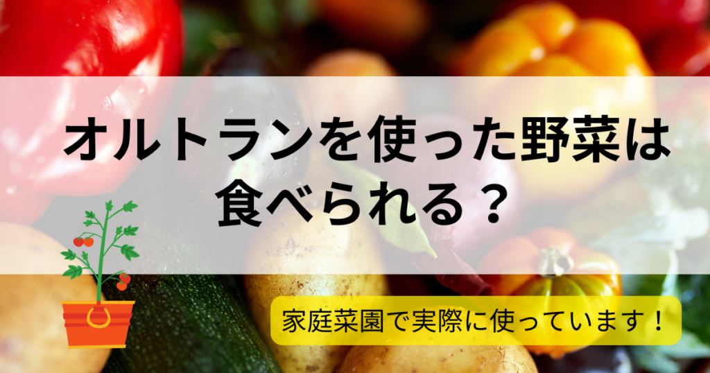 オルトランを使った野菜